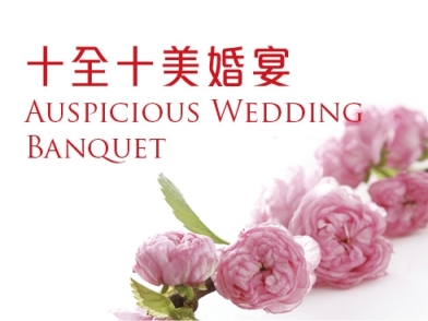 Auspicious Wedding cover