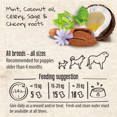 dental-fresh-feeding