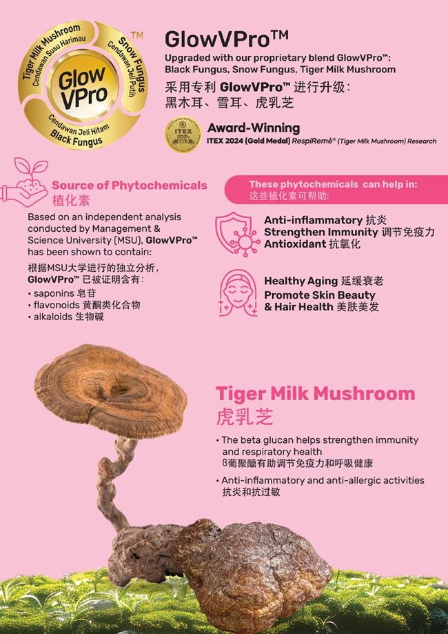 本頁圖片/檔案 - Vplas info-2