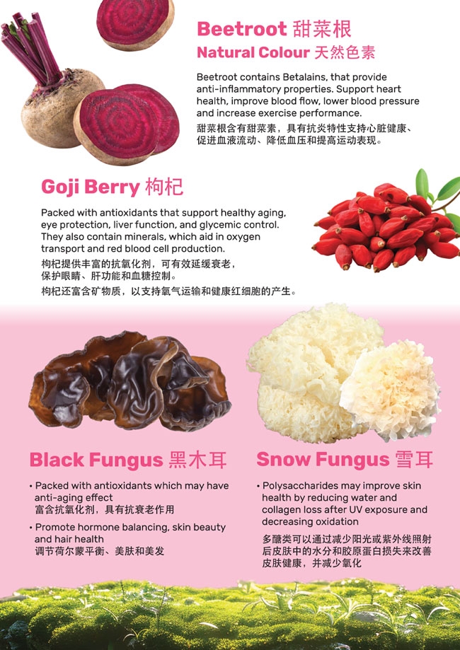 本頁圖片/檔案 - Vplas info-3