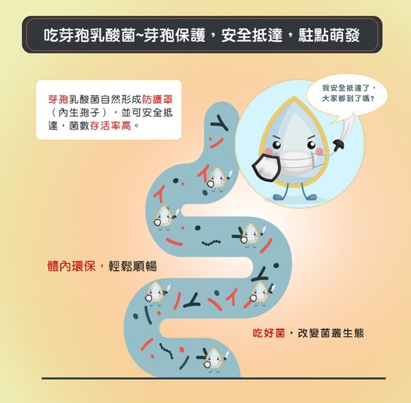 本頁圖片/檔案 - probiotics_03